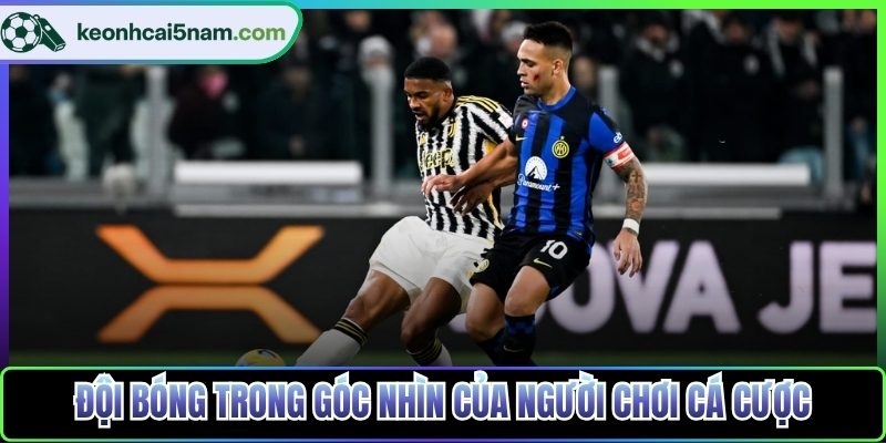 Đội bóng trong góc nhìn của người chơi cá cược