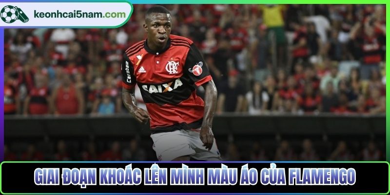 Giai đoạn khoác lên mình màu áo của Flamengo