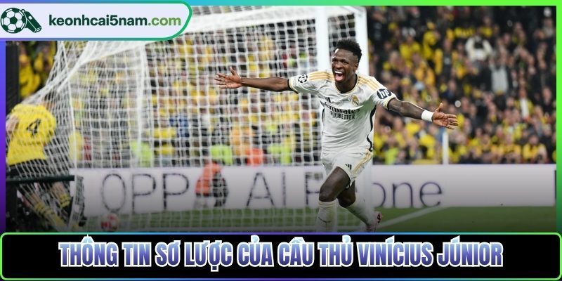 Thông tin sơ lược của cầu thủ Vinícius Júnior
